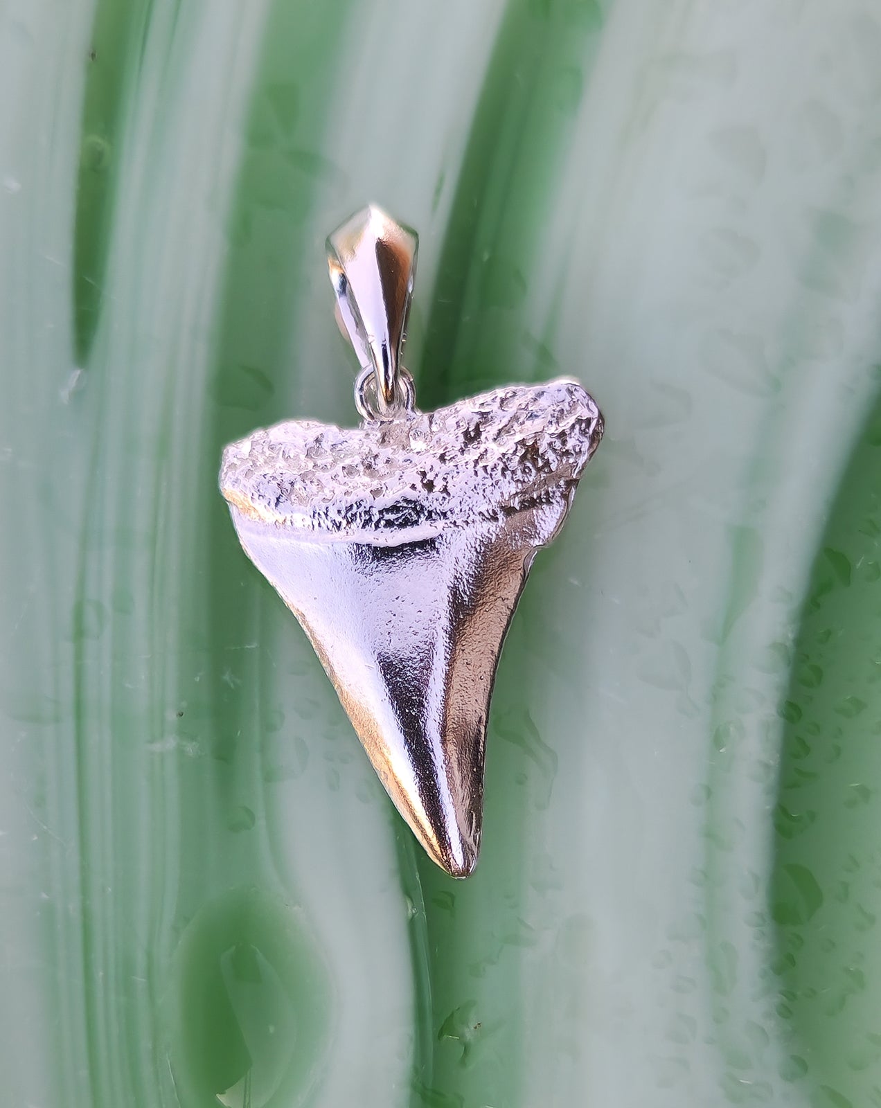 Shark's tooth pendant