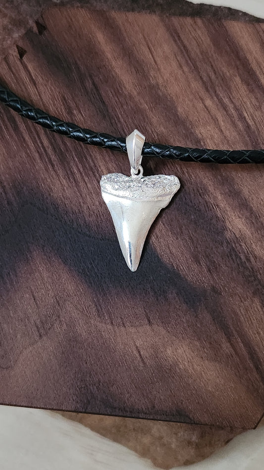 Shark's tooth pendant