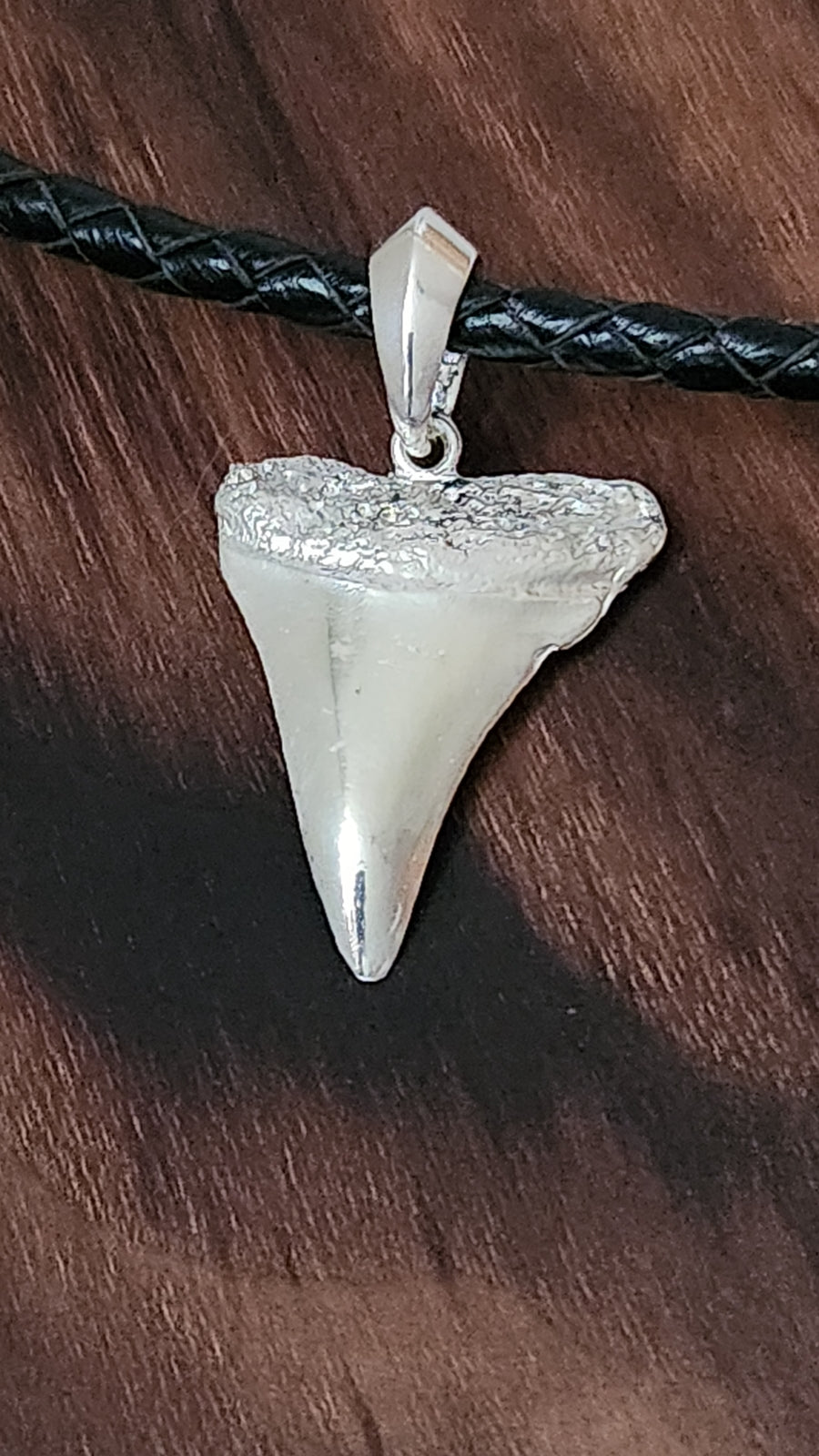 Shark's tooth pendant